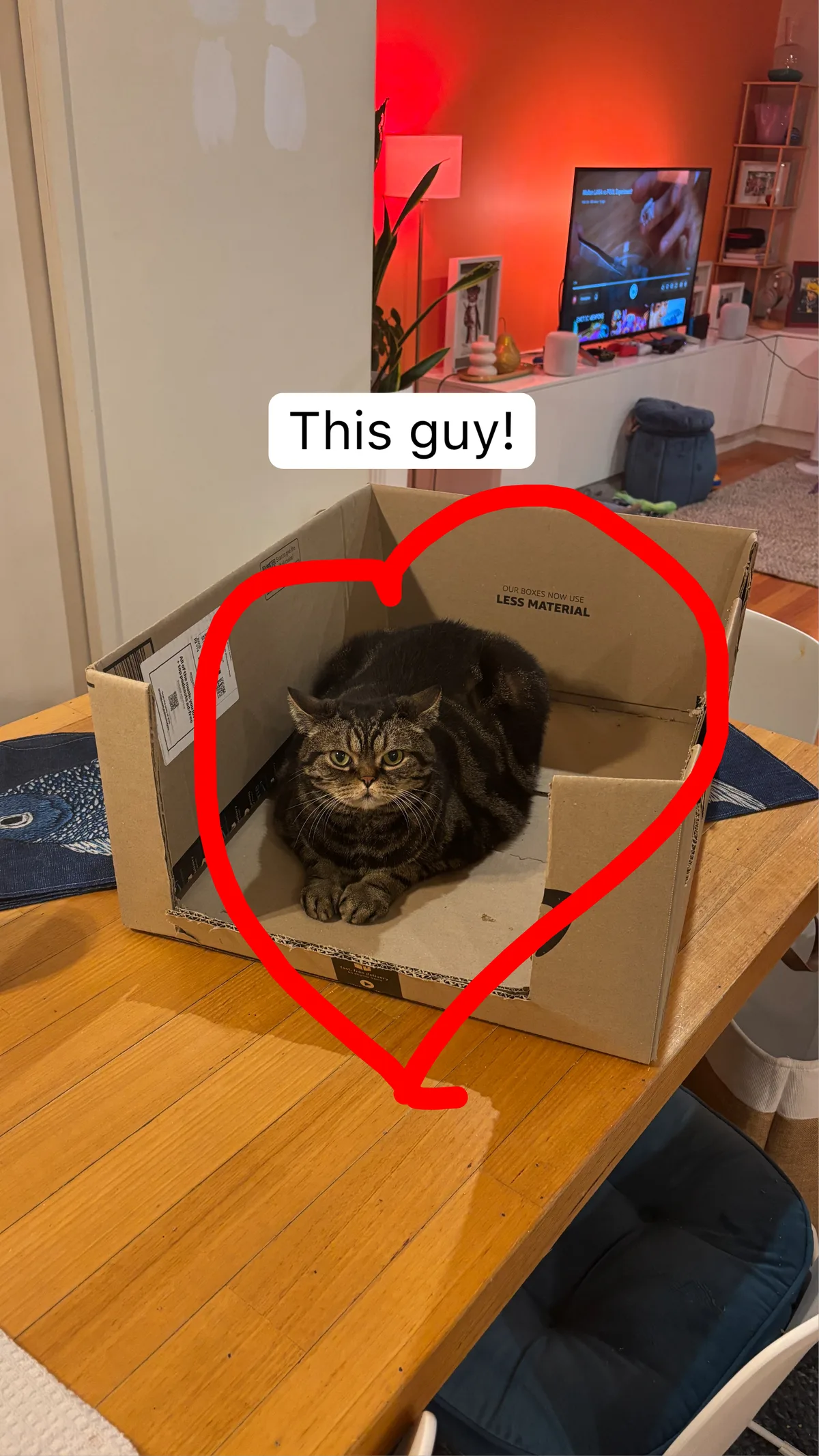 Kristof is in Yarraville.