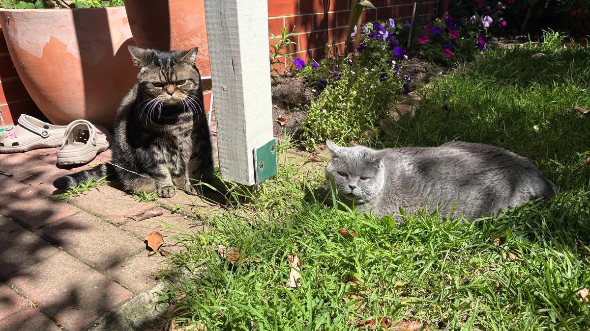 Kristof is in Yarraville with Raphael and Nada.