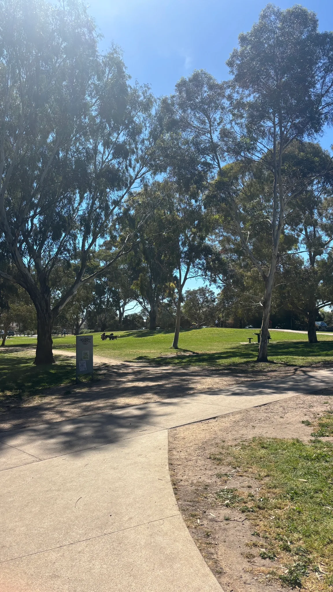 Kristof is 🚶 exploring walk at Cruickshank Park.