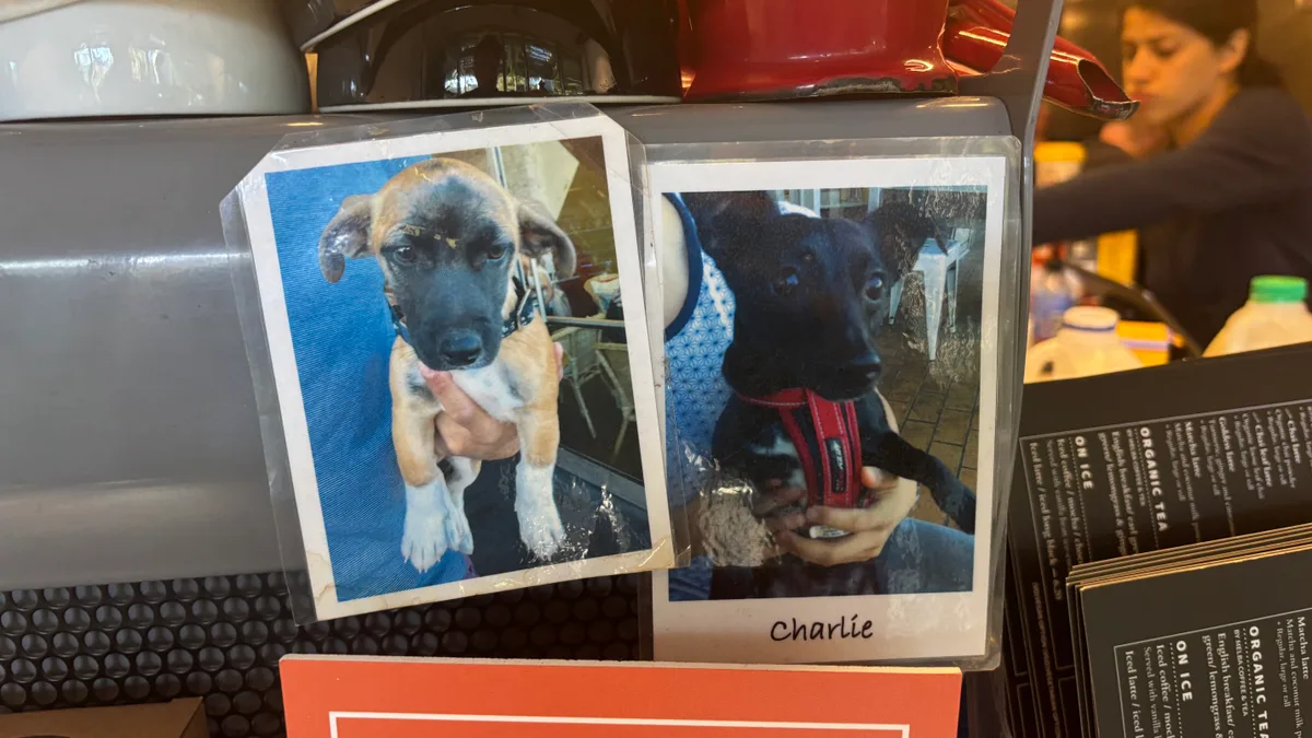 Kristof is 🏛️ visiting at Charlie Bit Me Cafe.