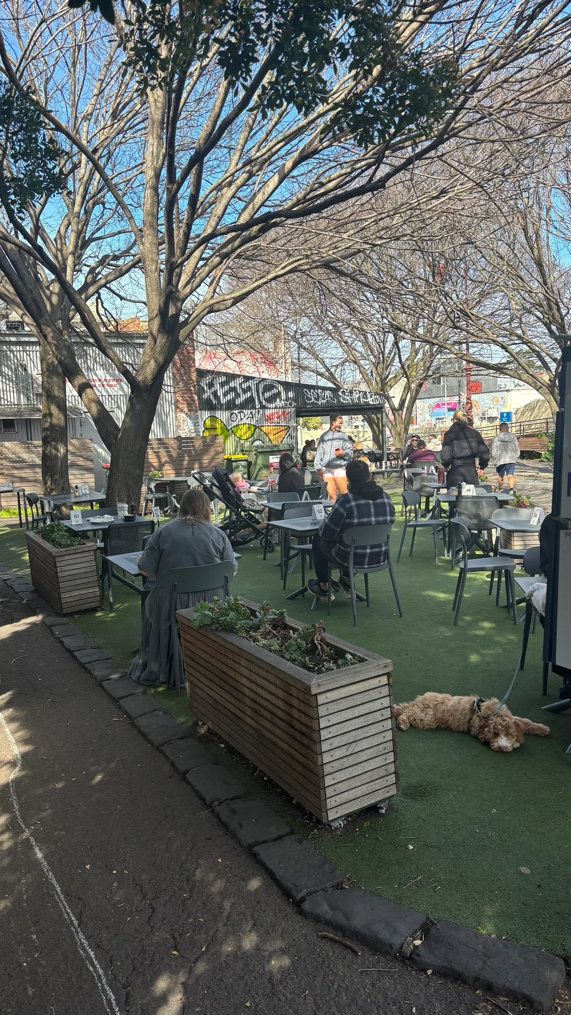 Kristof is ☕ drinking a flat white at Alfa. Yarraville.