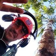 Sydney Palms Tree Pruning & Removal logo
