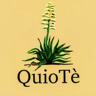 Quioté. Cocina Mexicana logo