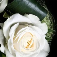 Buttonhole Florist logo
