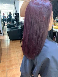 Hair Imagination logo