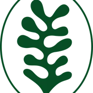 Olea Social logo