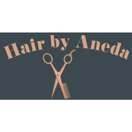 Hair by Aneda logo