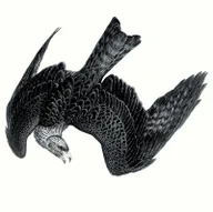 The Hawke Pub logo