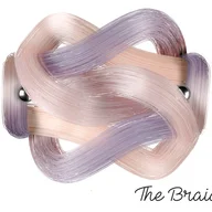The Braidest Hairdresser logo
