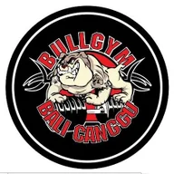 Bull Gym Bali Fitness logo