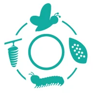 Bira Bira Early Learning Centre logo