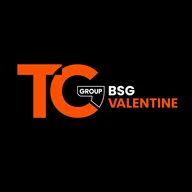 TC BSG Valentine Accountants logo