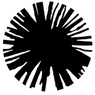 Brunswick North West Primary School logo