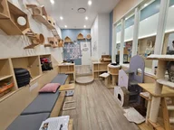 YUMIAO cat cafe logo