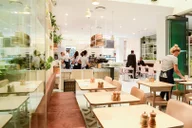 The Walrus Sydney CBD logo