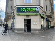 Boyberry Berlin logo