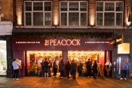 The Peacock - Angel logo