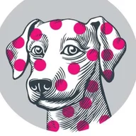 Village Vet St Helens logo