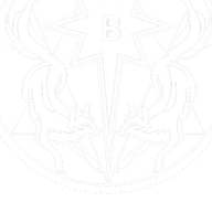 The Star of Bethnal Green logo