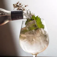The Gin Bar logo