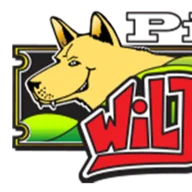 Wild Dog Pizza logo