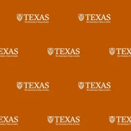 University of Texas at Austin High School logo