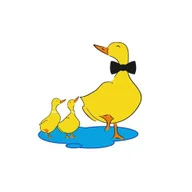 Dashing Ducks Child Care Castle Hill logo