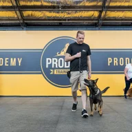 Pro Dog Training: West Footscray logo