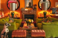 The Little Orange Door logo