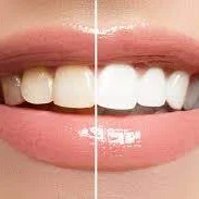 Burnley Family Dentists logo