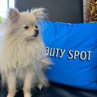 Beauty Spot logo