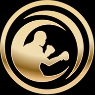 Underground Boxing and Conditioning logo
