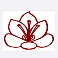 Safrani – Persisches & Afghanisches Restaurant logo