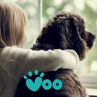 Voo Vets Battersea logo
