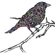 Songbird Cafe logo