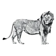 Steakhouse Piet de Leeuw Amsterdam logo