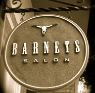 Barnets salon logo