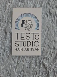 Testa Studio Hair Artisan logo