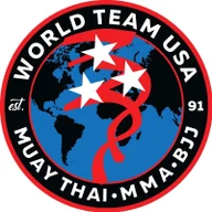 World Team USA logo