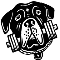 Credible Strength and Fitness logo