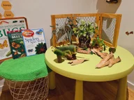 Little Stars Family Day Care logo