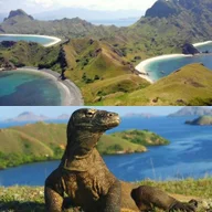 Komodo & Flores Tour logo
