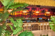 Moon Dog Beach Club logo