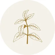 The Cupping Room logo