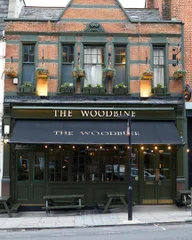 The Woodbine logo
