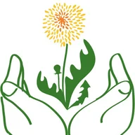 Bloomsbury Osteopathy logo