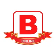 BSL British School of Language (online Classes only) logo