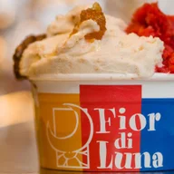 Fiordiluna logo