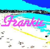 Frankie The Hairdresser logo