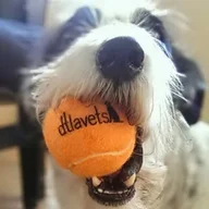 DTLAvets - Wellness and Urgent Care Services logo